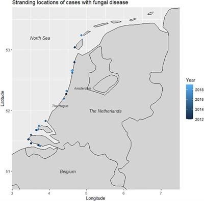 Mycotic Infections in Free-Ranging Harbor Porpoises (Phocoena phocoena)